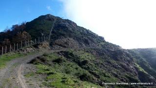 nte Scuderi-23-11-2014 09-48-33
